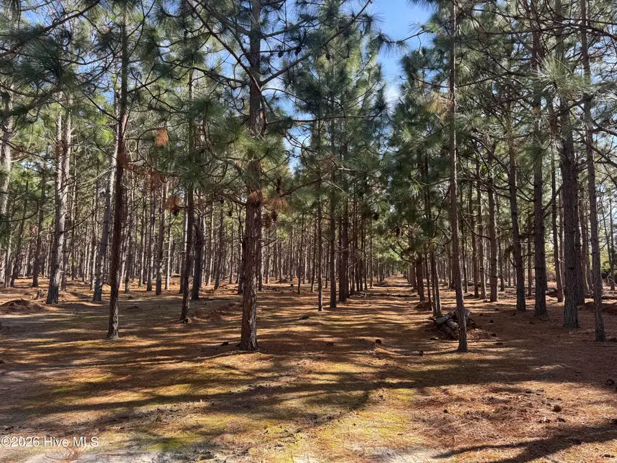 0 Butler Mill Road, Bladenboro, NC 28320 - #3