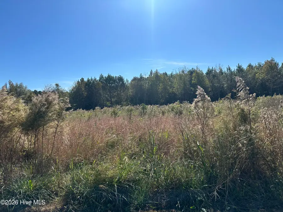 18 Near 18 Taylor Lane, Clarendon, NC 28432 - #2