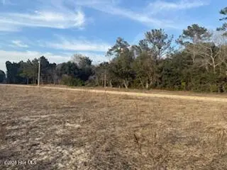 Tbd Tbd Rough Horn Road, Evergreen, NC 28438 - #2