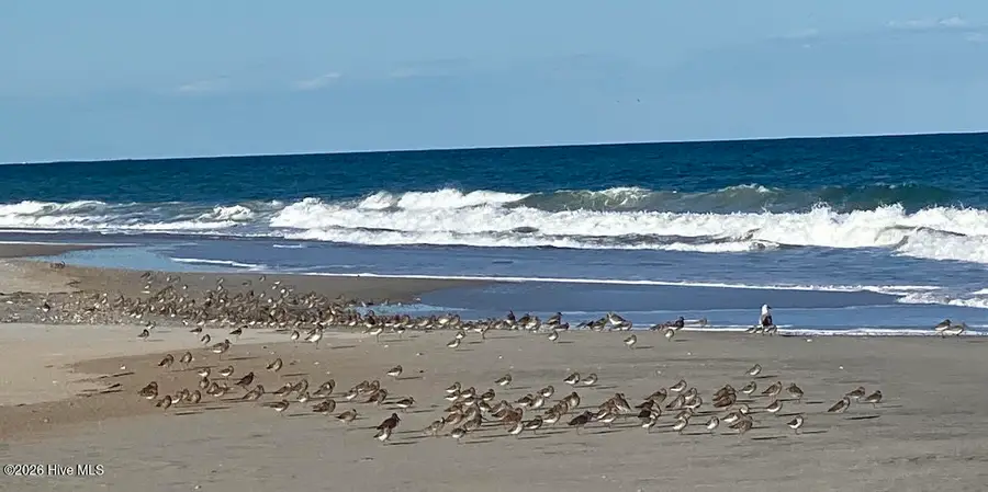 3422 Belle Meade Way Ne, Leland, NC 28451 - #3