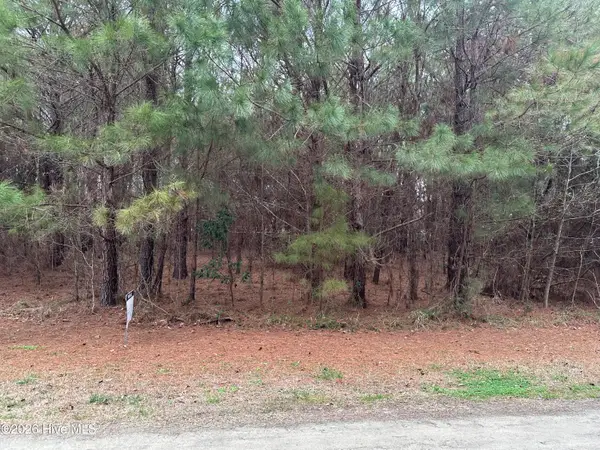 Near 51 Gores Drive, Clarendon, NC 28432