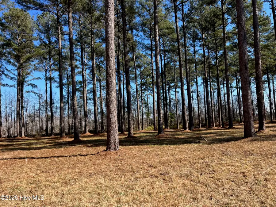 40 Currituck Court, Oriental, NC 28571 - #3