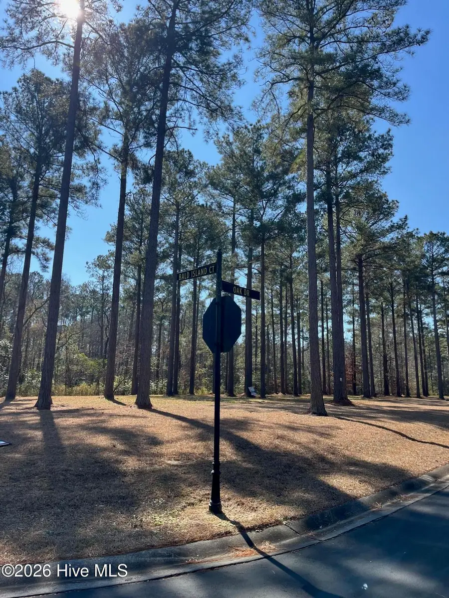 23 Bald Head Island Court S, Oriental, NC 28571 - #3