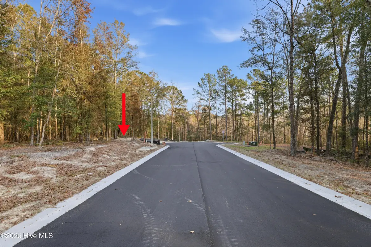 1041 Brooke Ridge Lane, Southport, NC 28461 - #1