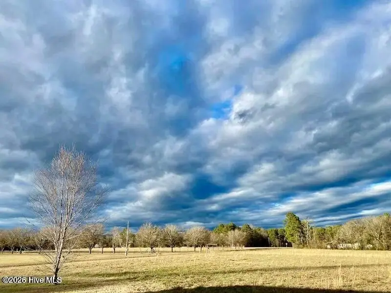 Tbd Hamer Mill Road, Rockingham, NC 28379 - #2