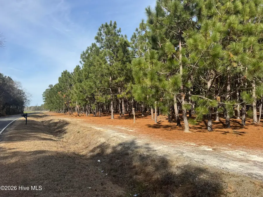 0 Butler Mill Road, Bladenboro, NC 28320 - #2