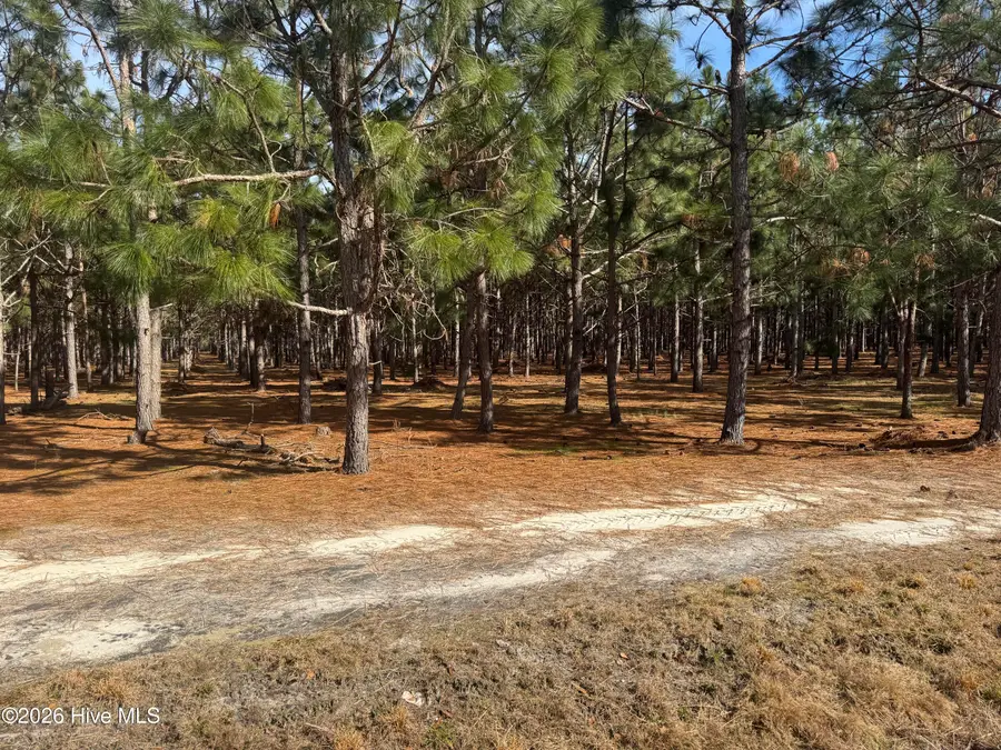 0 Butler Mill Road, Bladenboro, NC 28320 - #3