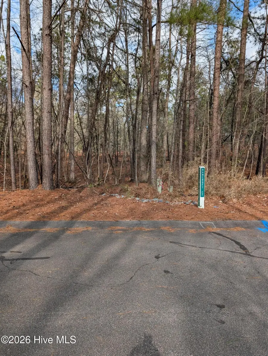 102 Bancroft Court, West End, NC 27376 - #3