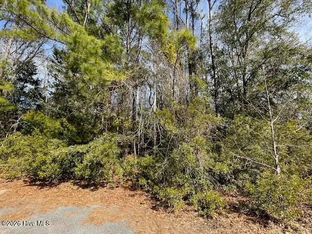 38 Lot Cedar Find Cove, Wilmington, NC 28411 - #1