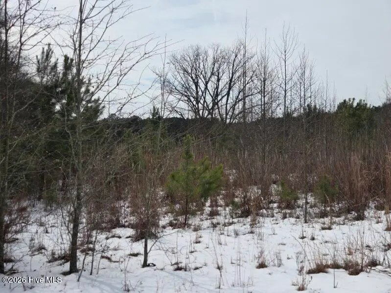 101 Esterville Road, Elizabethtown, NC 28337 - #2