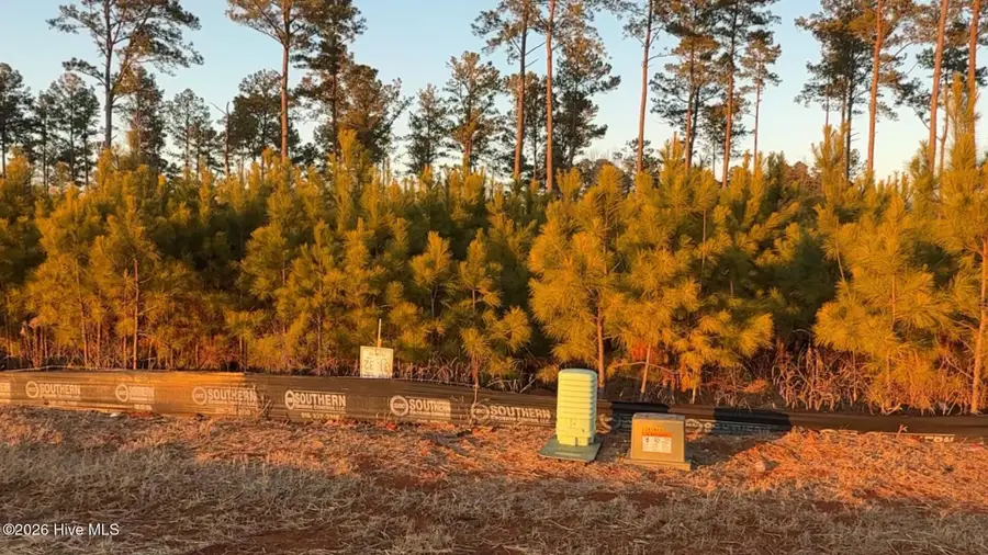 Lot 28 River Meadow Court, Spring Hope, NC 27882 - #2