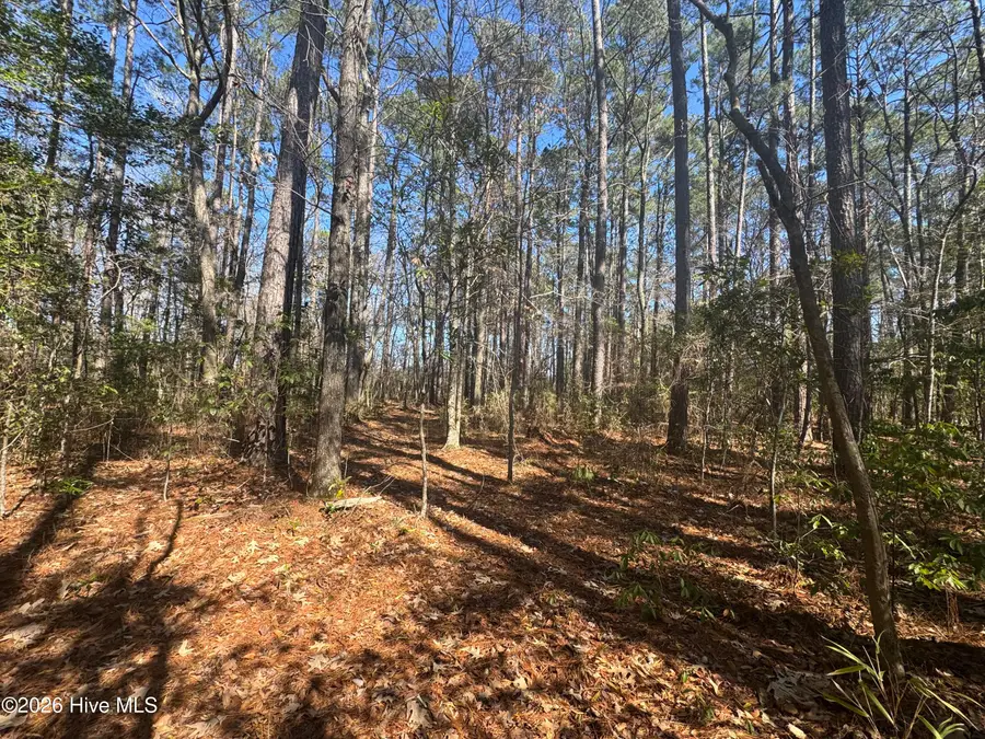 4836 Merrimon Road, Beaufort, NC 28516 - #2