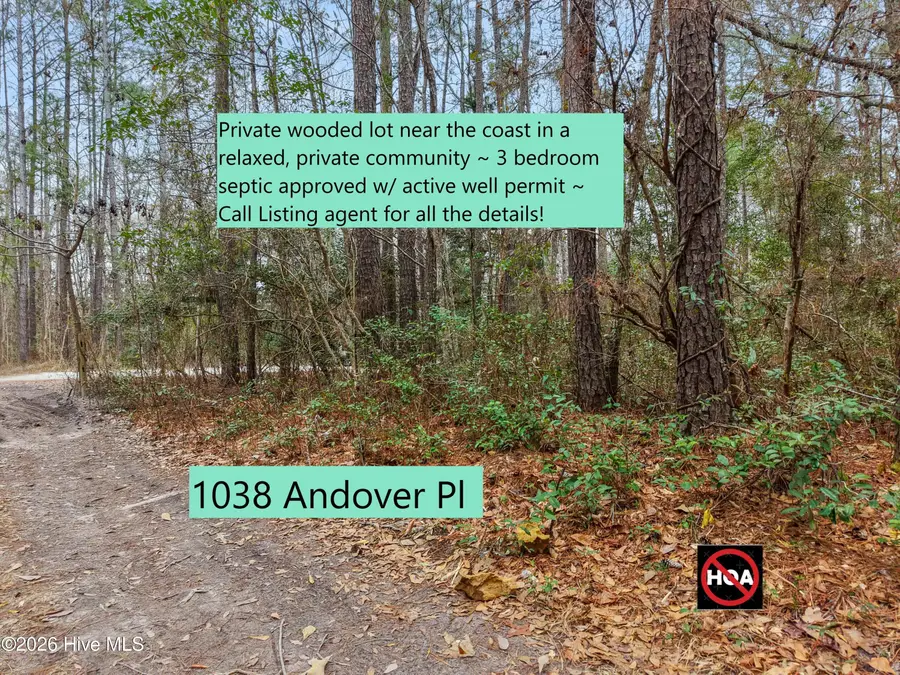 1038 Andover Place Se, Bolivia, NC 28422 - #2