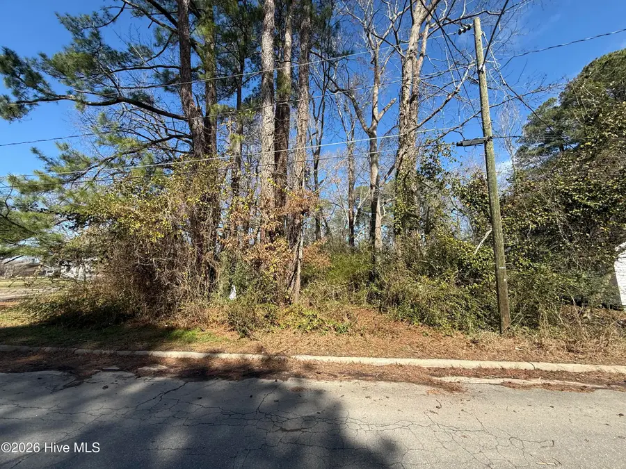 1041 Water Street, Jamesville, NC 27846 - #2