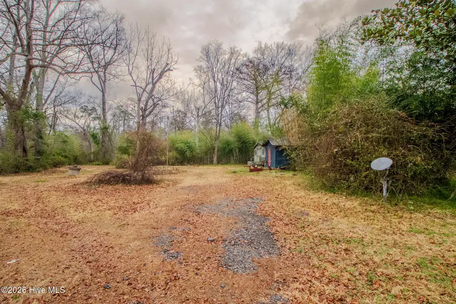 Lot 4 E Trent Street, Trenton, NC 28585 - #2