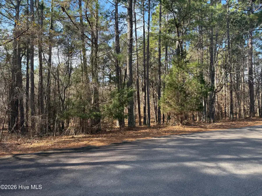 145 Millstone Court, West End, NC 27376 - #2