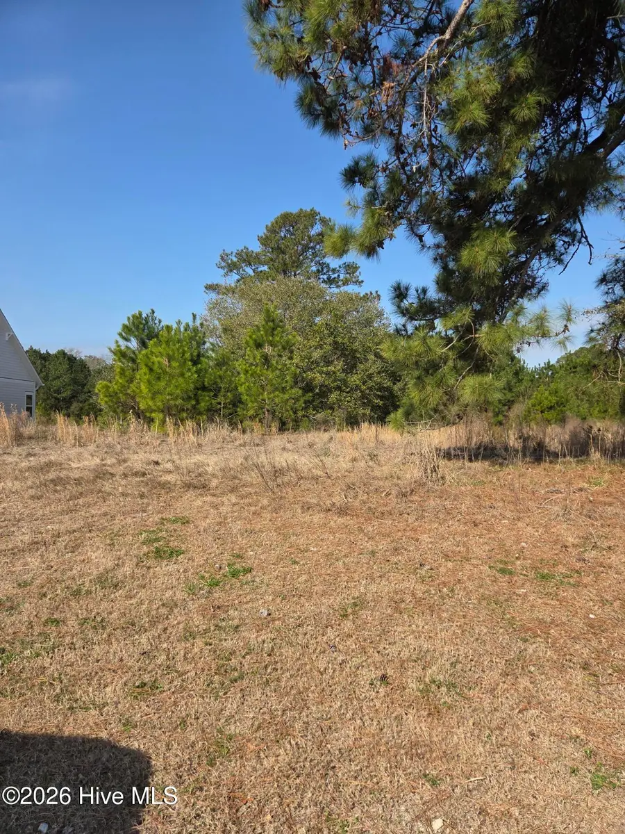 7439 Donegal Circle Sw, Sunset Beach, NC 28468 - #3