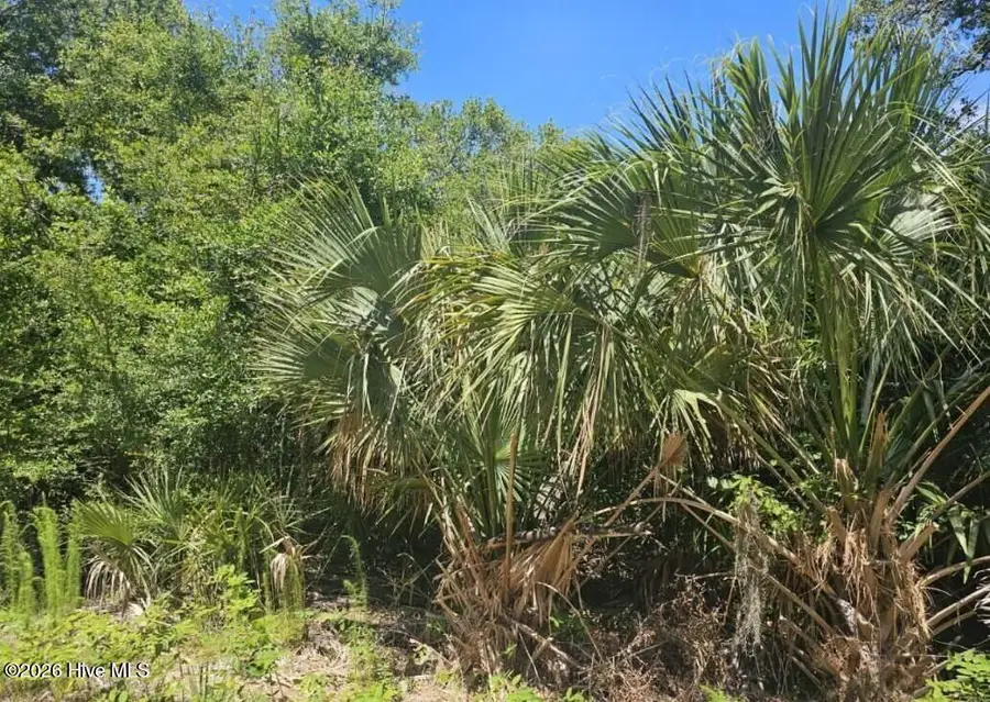 6 Red Bay Court, Bald Head Island, NC 28461 - #3