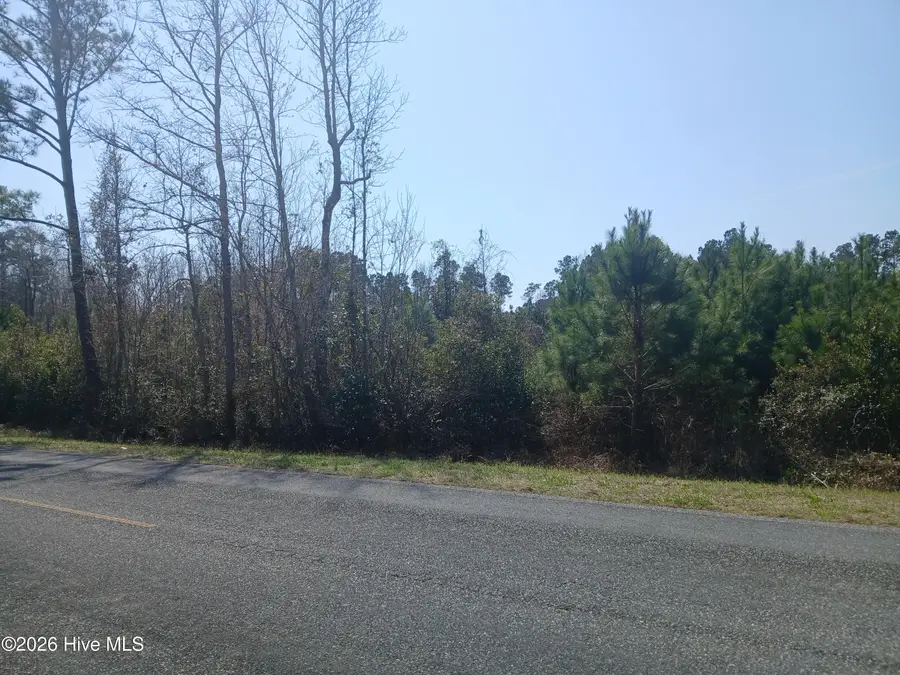 390 Chadwick Acres Road Road, Sneads Ferry, NC 28460 - #3