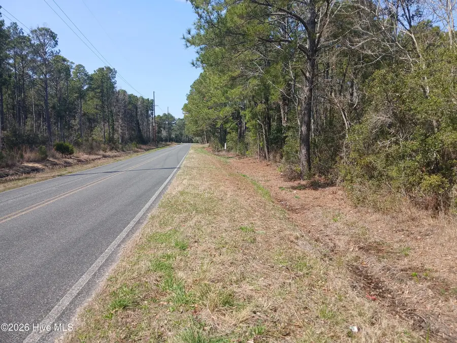 441 Chadwick Acres Road, Sneads Ferry, NC 28460 - #3