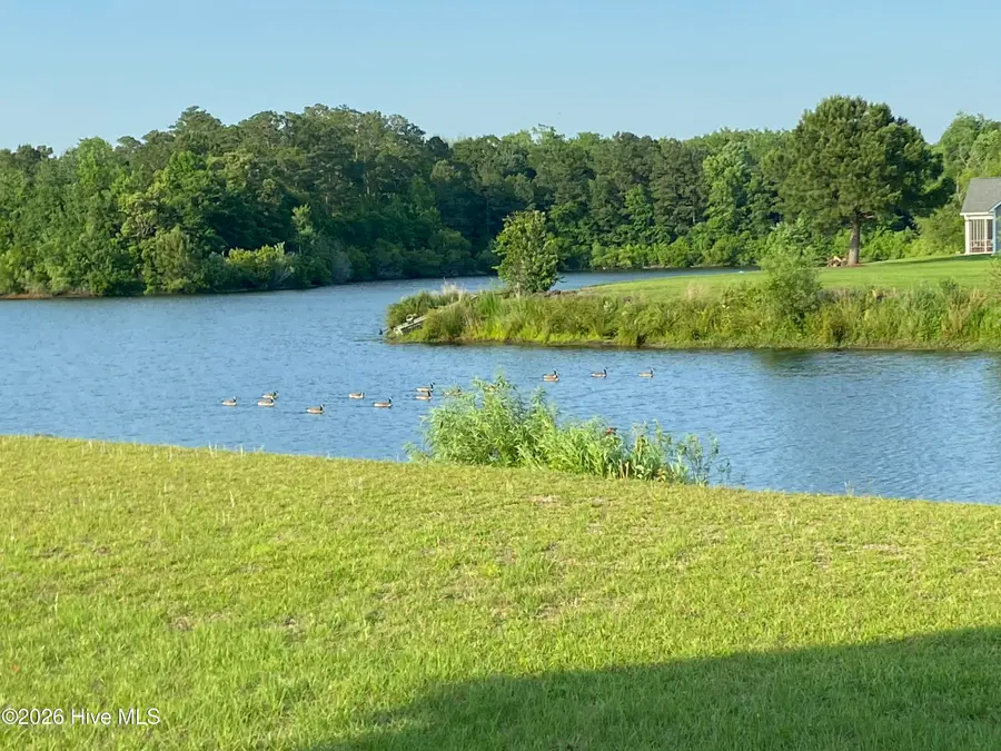 205 Antioch Lakes Road, New Bern, NC 28560 - #3