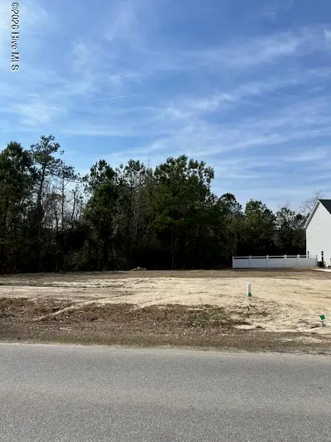 417 Chadwick Avenue, Havelock, NC 28532 - #1