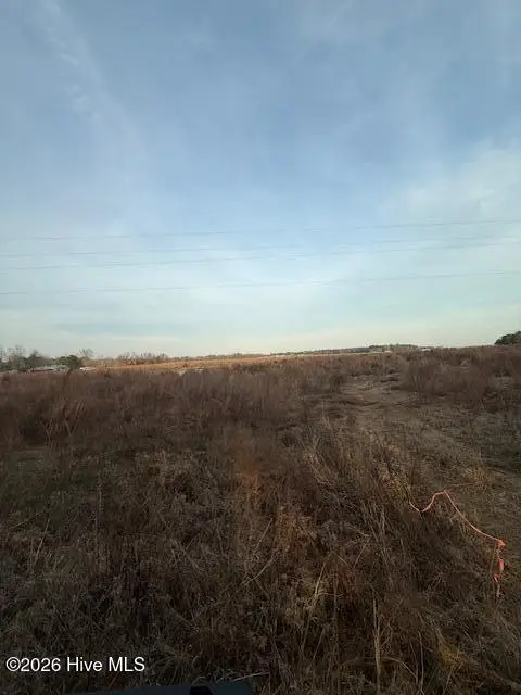 294 Waller Road, Mount Olive, NC 28365