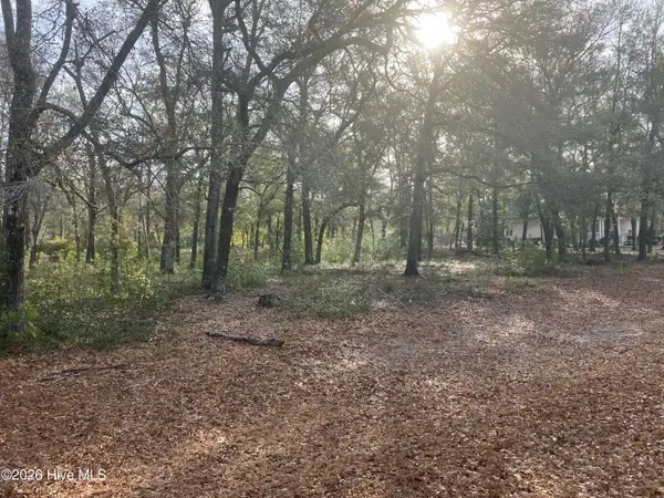 2172 Clambake Court Sw, Supply, NC 28462