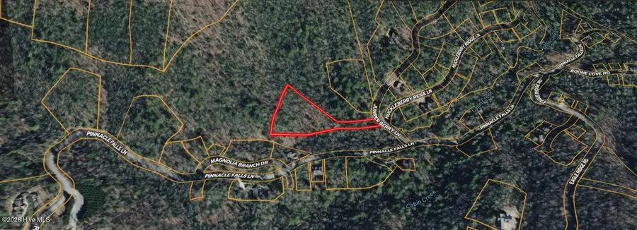 0 N Juniper Berry Ln Lane, Hendersonville, NC 28791 - #2