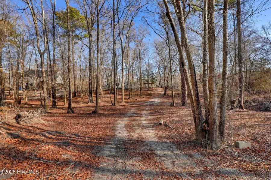 Lot 19 Ruddy Duck Lane, Burgaw, NC 28425 - #2