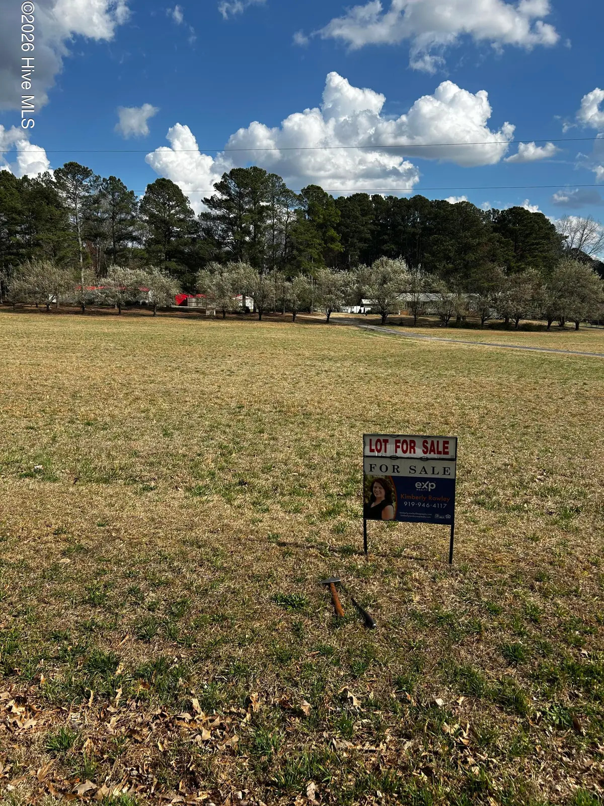 954 Blue Pond Road, Clayton, NC 27520 - #1
