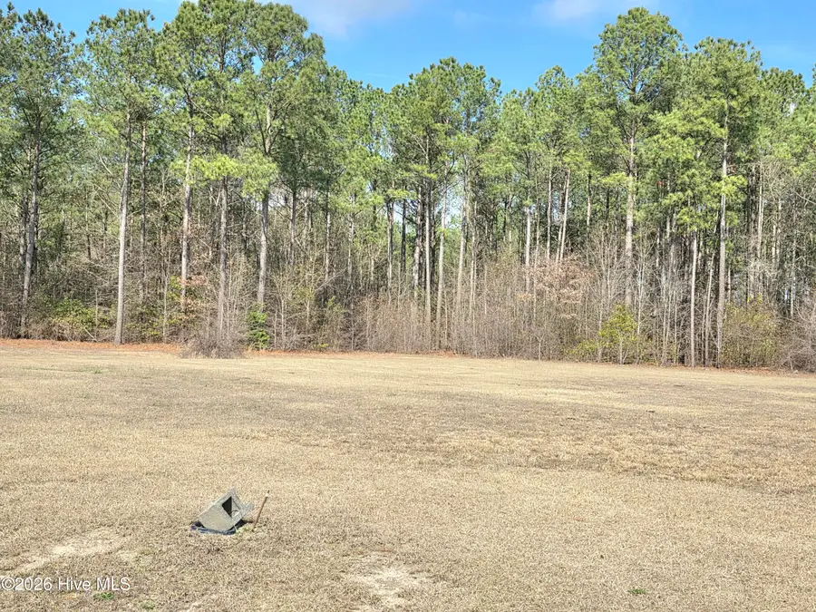 290 Raynor Sands Drive, Dunn, NC 28334 - #3