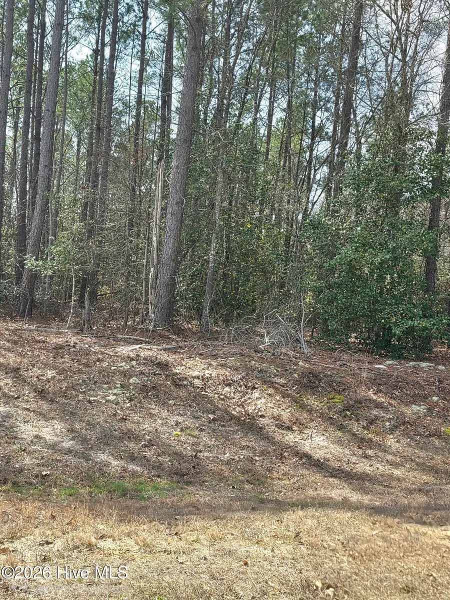 275 Raynor Sands Drive, Dunn, NC 28334 - #2