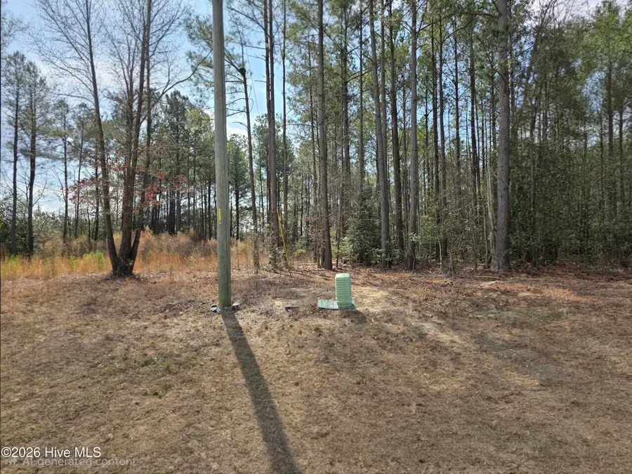 275 Raynor Sands Drive, Dunn, NC 28334 - #3