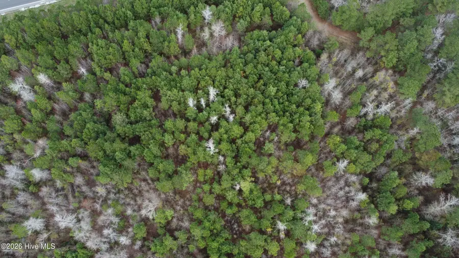 19115 Andrew Jackson Highway Sw, Bolton, NC 28423 - #3