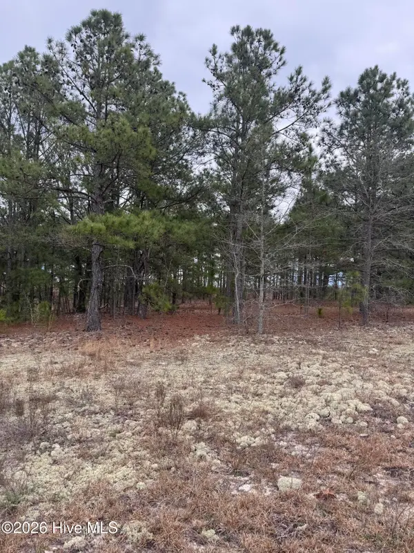 138 Batton Road, Hamlet, NC 28345