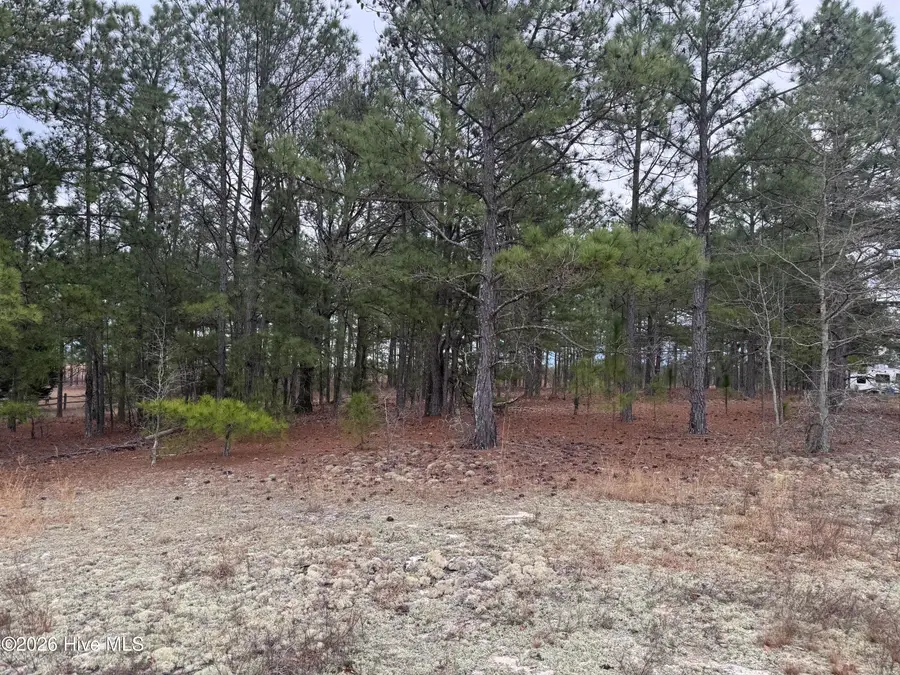 138 Batton Road, Hamlet, NC 28345 - #2