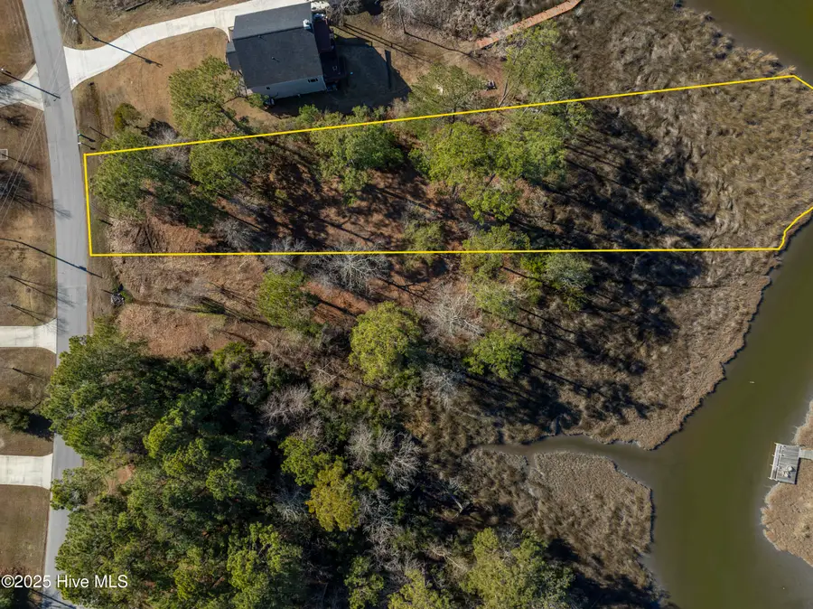 327 Chadwick Shores Drive, Sneads Ferry, NC 28460 - #2