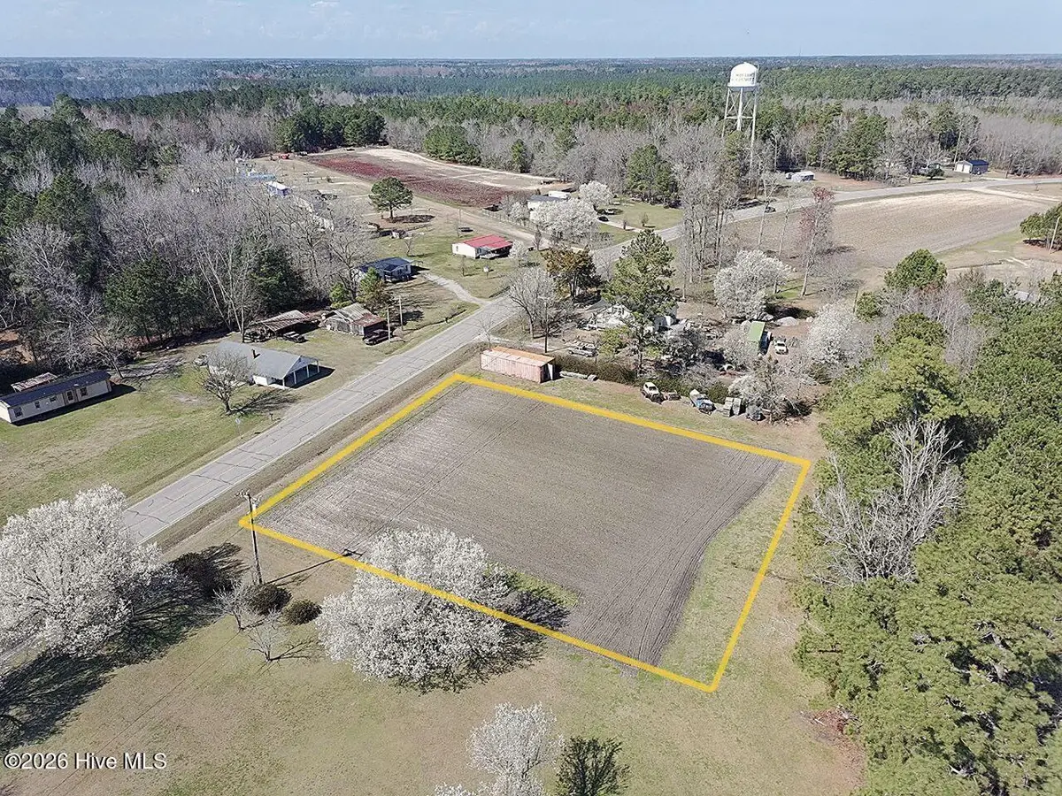 0 Near 2743 Haynes Lennon Highway, Chadbourn, NC 28431 - #1