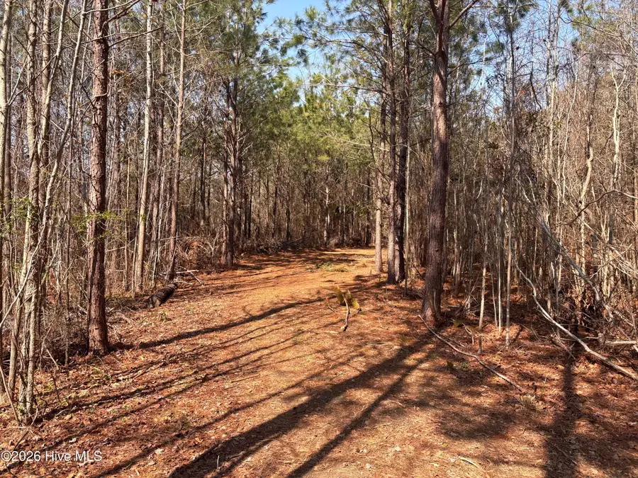 00 Irvin Road, Murfreesboro, NC 27855 - #3