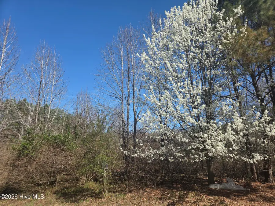 232 Winfall Circle, Edenton, NC 27932 - #2