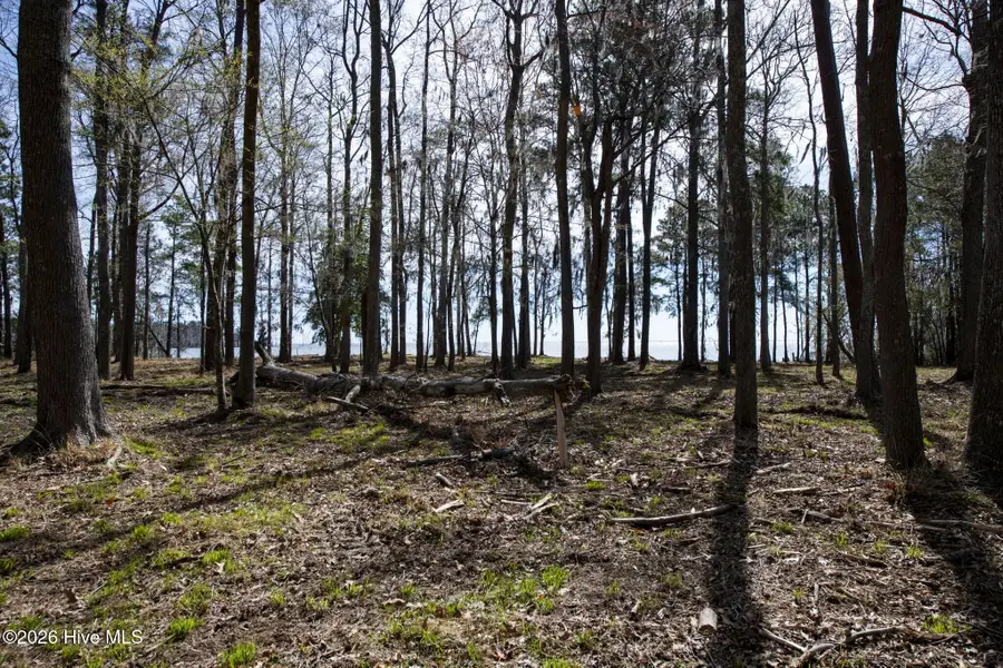 Lot 6 Peninsula Shores Way, Hertford, NC 27944 - #2