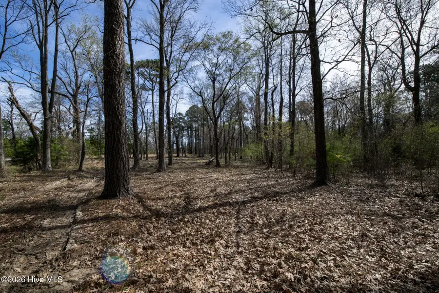 Lot 6 Peninsula Shores Way, Hertford, NC 27944 - #3