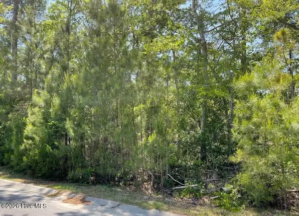 2917 Blue Sky Drive Sw, Supply, NC 28462