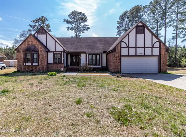 207 Collingwood Drive Nw, Pikeville, NC 27863