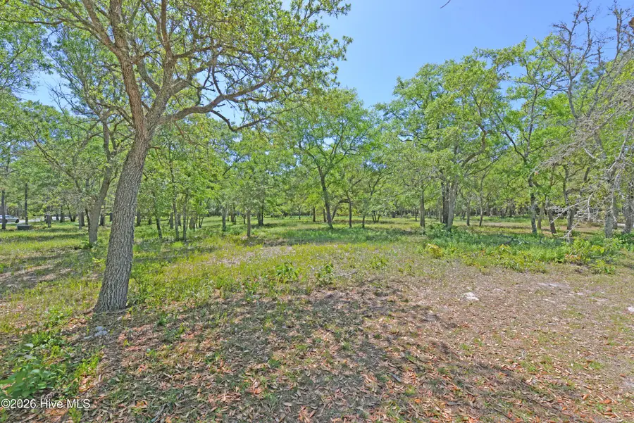 587 Maritime Way Sw, Supply, NC 28462 - #2