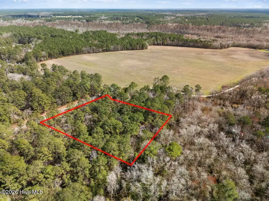 1 Page Road, Burgaw, NC 28425 - #3