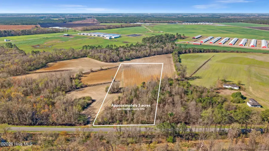 0 Graham Dobson Road, Magnolia, NC 28453 - #2