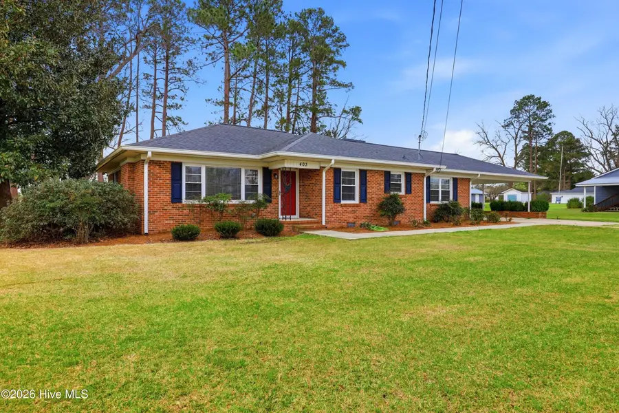 403 Smith Chapel Road, Mount Olive, NC 28365 - #2