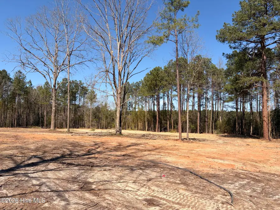 880 Doubs Chapel Road, West End, NC 27376 - #3